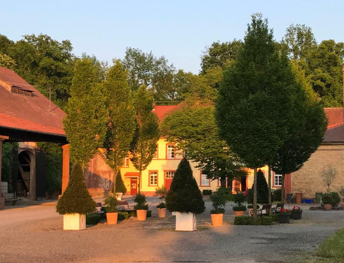 Elegantes Gaesteapartment Verano In Schloss Und Hofgut Langenzell Wiesenbach المظهر الخارجي الصورة