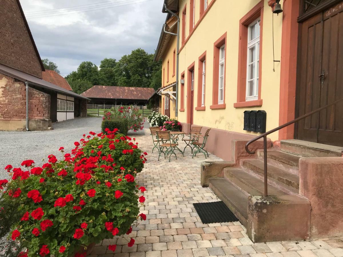 Elegantes Gaesteapartment Verano In Schloss Und Hofgut Langenzell Wiesenbach المظهر الخارجي الصورة